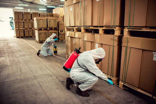 Best Flea Control Services  in Glasgow, VA