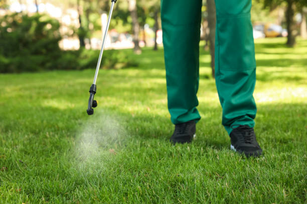 Best Mosquito Control Services  in Glasgow, VA