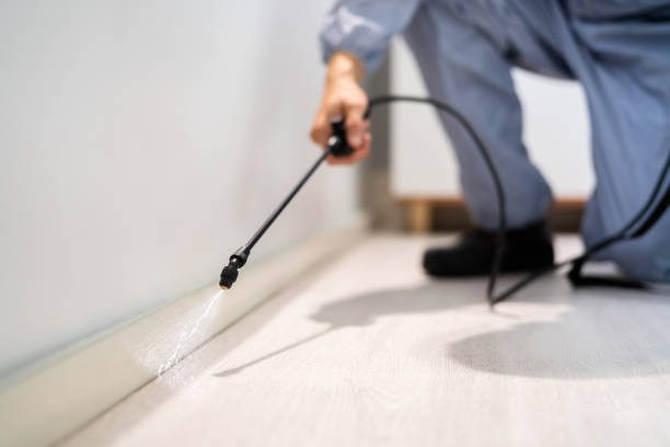 Best Wasp Removal Services  in Glasgow, VA